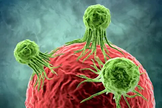 cancer cell - shutterstock