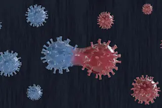 illustration concept of the coronavirus mutating - shutterstock 1684333258