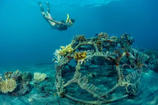 Coral restoration