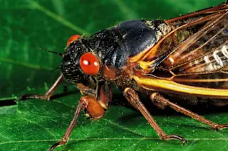 shutterstock 1332995879