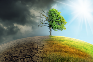 Save Earth