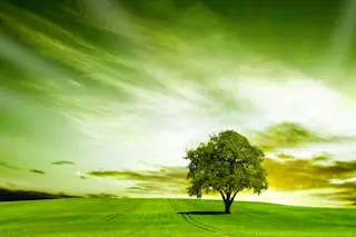 Green sky