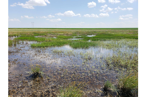 Wet Playa-WRE-Wallace County by Brittany Smith