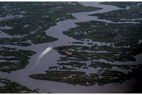 land loss lookout Louisiana wetlands