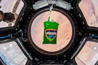 NASA - Slime-in-Space-cupola-ISS-1-1