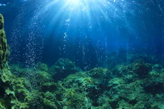 underwater - shutterstock