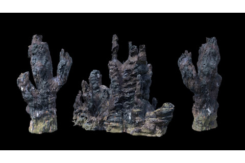 shutterstock 1354546724