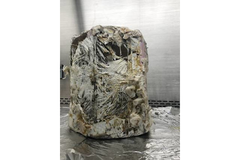 nasa fungi printed space colony