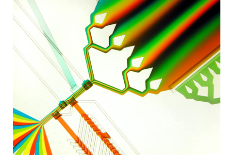 Microfluidics: how it works