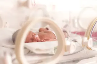 baby in incubator - shutterstock