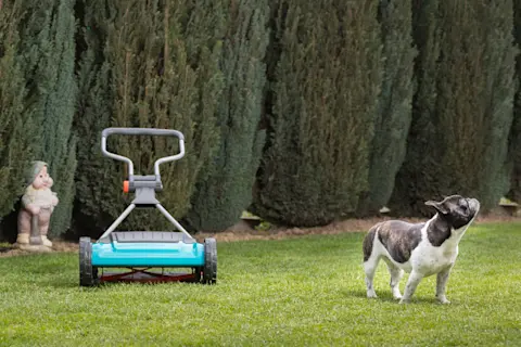 Eco-Friendly Lawn Care: Save Water Save the Planet Today!