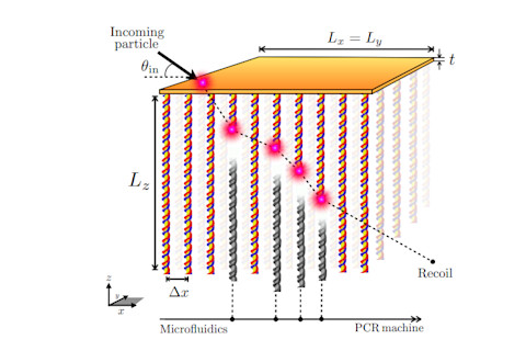 The principle of the DNA dark matter detector (Source: arxiv.org/abs/21051.11949)