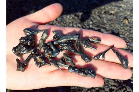 Book-Hawaii-Vtorov-peletears