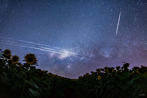 StarlinkTrails Filter 1080