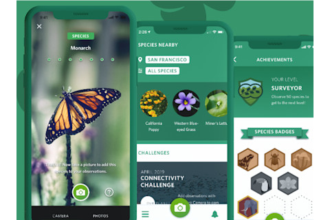 Seek and iNaturalist