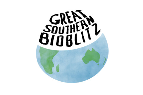 Great Southern Bioblitz