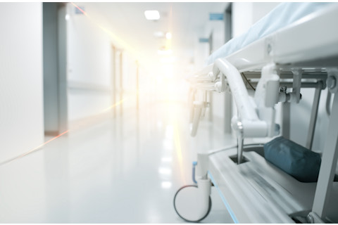 Screen Shot 2021-08-06 at 2.26.14 PM