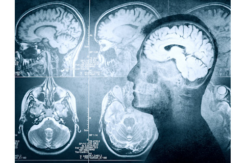 Screen Shot 2021-08-06 at 2.19.44 PM