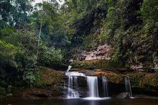 Fin Del Mundo, The Amazon jungle of Colombia (Credit: Ste Lane/Shutterstock) 