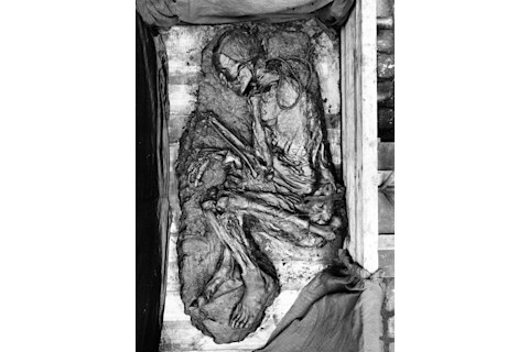 Tollundmanden DO-10895 original