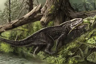 Postosuchus mural