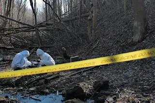 shutterstock 1858519162