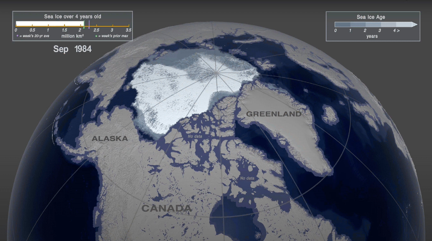 Multiyear Arctic Sea Ice Declines Dramatically