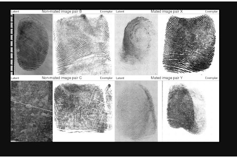 fingerprints