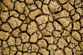 climate change