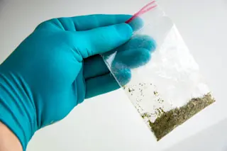 spice drug sample synthetic cannabinoid