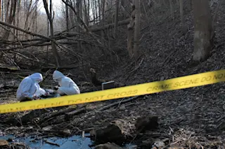 Forensics scene
