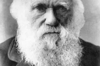 shutterstock 252138244 (1)