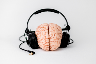 Brain listening to music