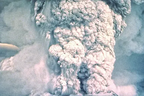 WHAT HAPPENED IN 1980 visual data 4