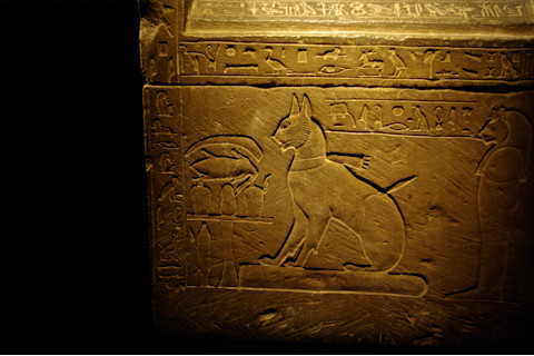Ancient egypt art cat