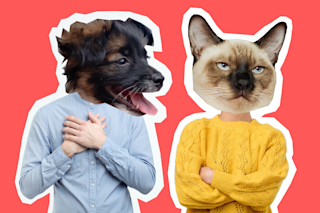 Anthropomorphized dog and cat arguing