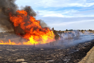 Controlled burn in grasslands