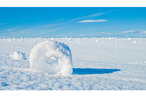 Snow Roller