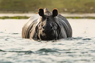 shutterstock 1890427129