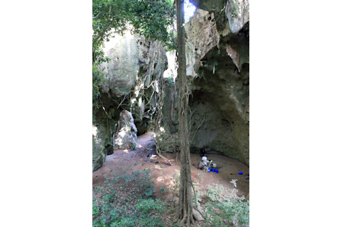 Screen Shot 2022-01-05 at 12.58.03 PM