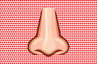 Nose illustration