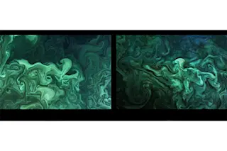 Different Planets, Similar Patterns