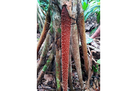 Screen Shot 2022-02-02 at 2.37.26 PM