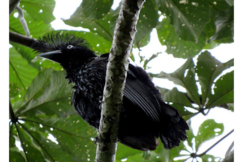 Screen Shot 2022-02-02 at 2.52.24 PM