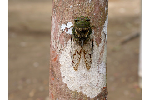 Screen Shot 2022-02-02 at 2.33.29 PM