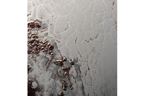 close-up of a white surface spotted with red