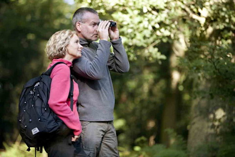 birdwatching creep couple - shutterstock