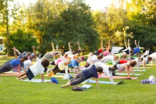 people doing yoga outdoors