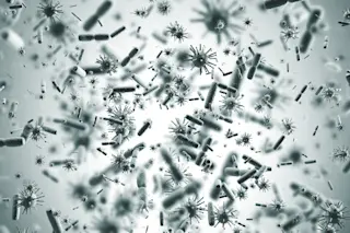 Virus