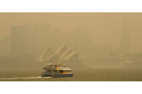 Smokey harbor